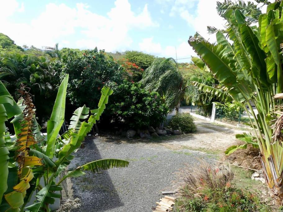 Villa Tikitanga Avec Piscine 10X5M A 650M De La Mer Saint-Francois  Extérieur photo